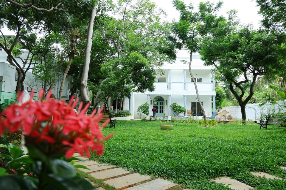 The front lawn