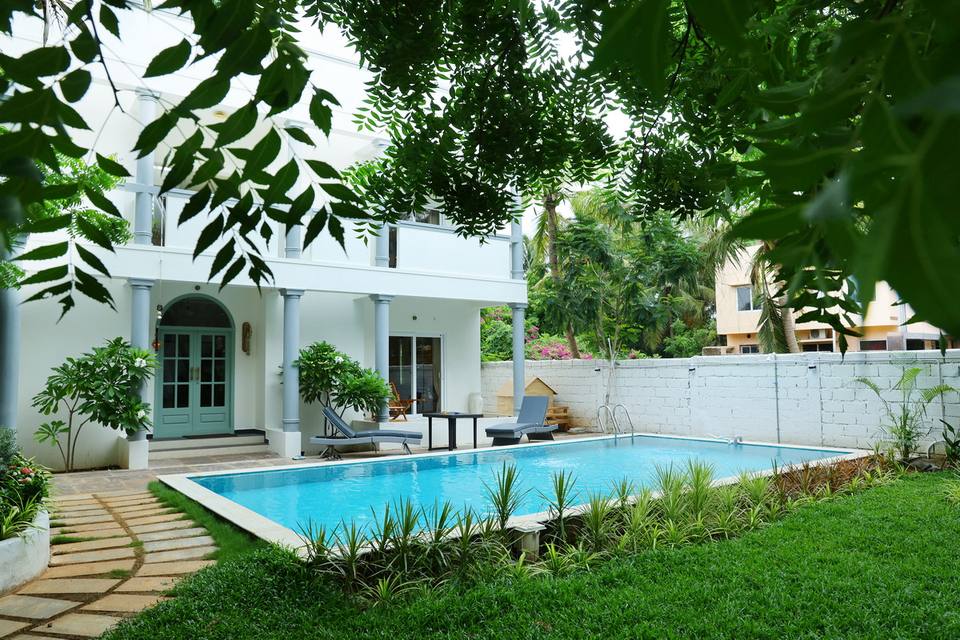 The pool under the trees