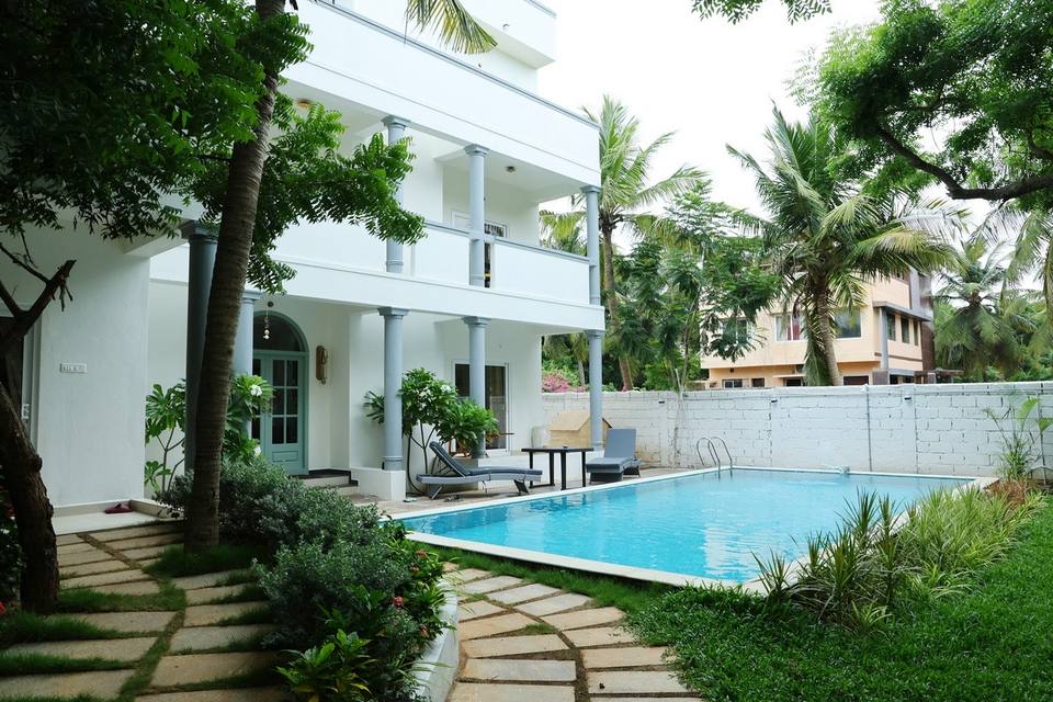 The villa and pool among palm trees