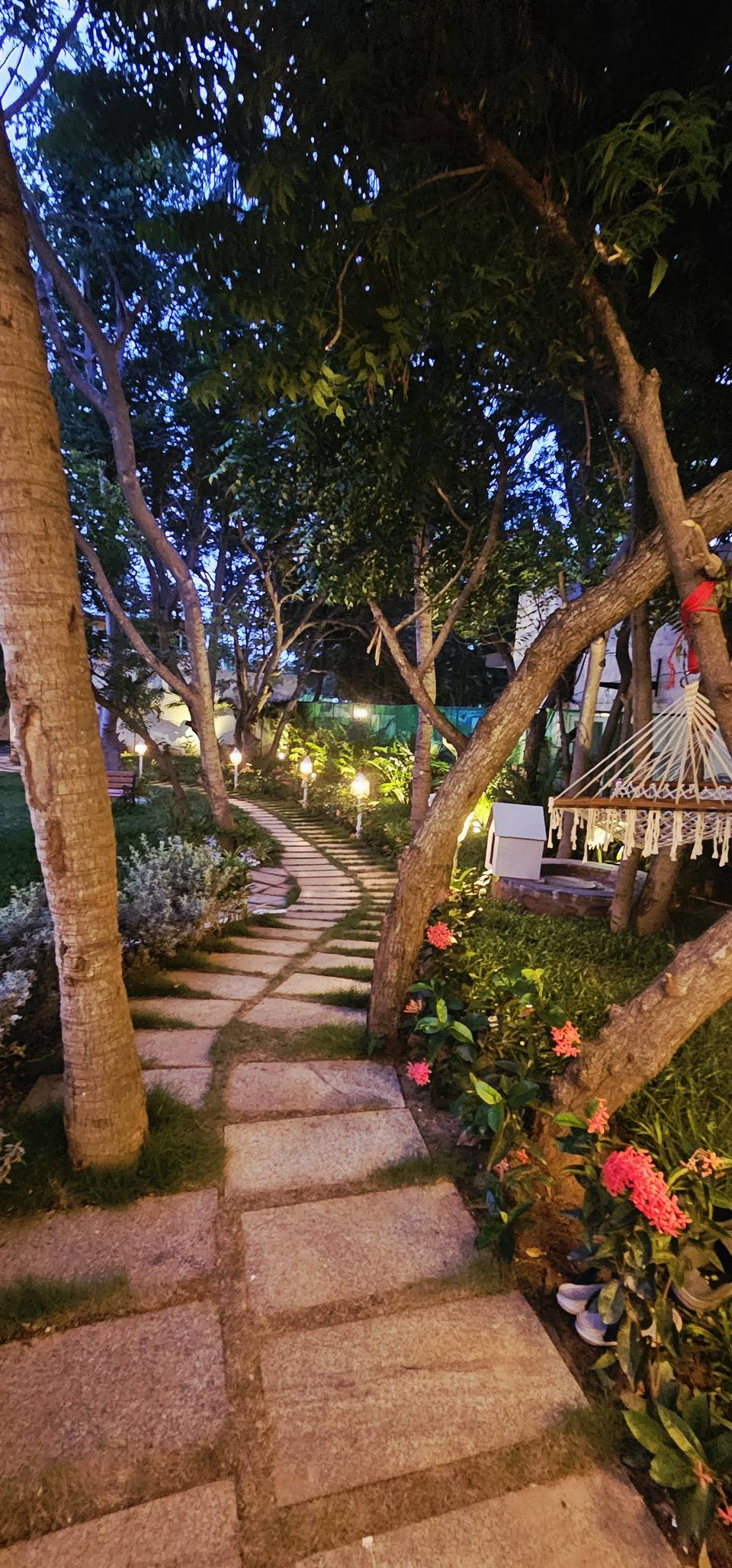 Lit garden path at night