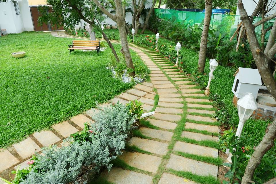 Stone path through the garden